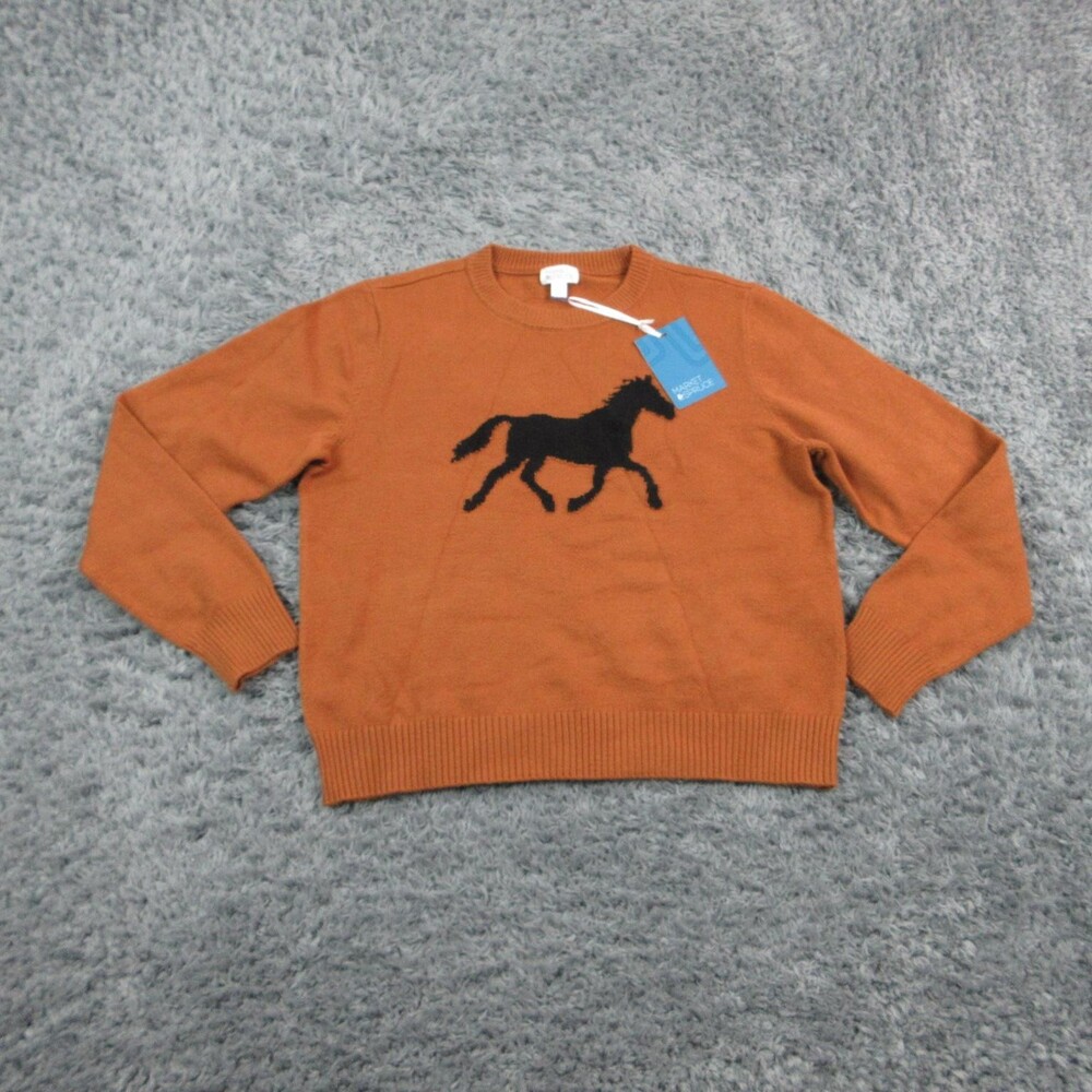 Market & Spruce Sweater Pullover Womens L Brown Crewneck Tight-Knit Graphic NWT
